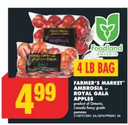 No Frills FARMER'S MARKET AMBROSIA or ROYAL GALA APPLES offer