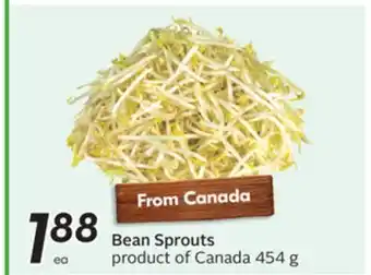 Sobeys Bean Sprouts offer