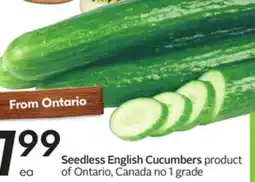 Sobeys Seedless English Cucumbers offer