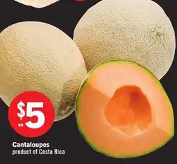 Foodland Cantaloupes offer