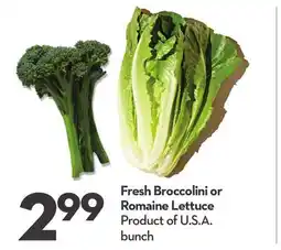 Longo's Fresh Broccolini or Romaine Lettuce offer