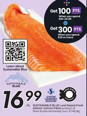 Sobeys Land Raised Fresh Atlantic Salmon Fillets offer