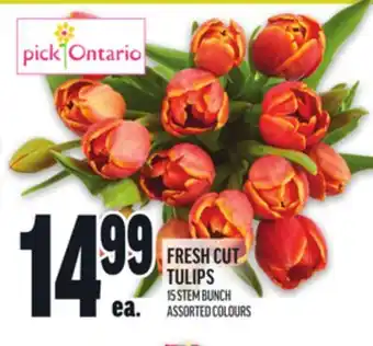 Metro FRESH CUT TULIPS offer