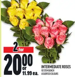 Metro INTERMEDIATE ROSES offer