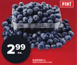 Metro BLUEBERRIES offer