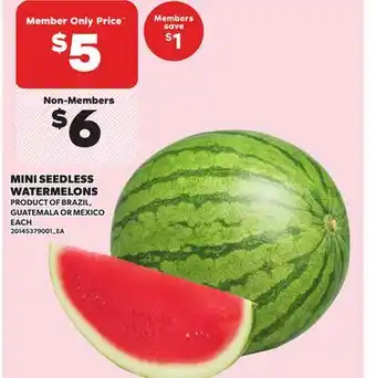 Loblaws MINI SEEDLESS WATERMELONS offer