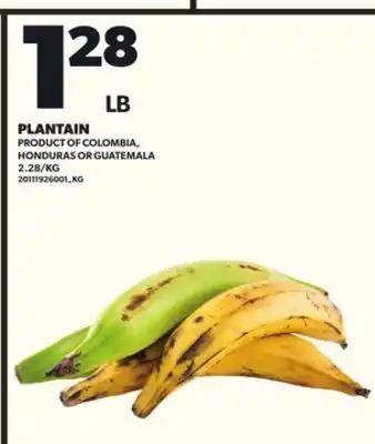 Loblaws PLANTAIN offer