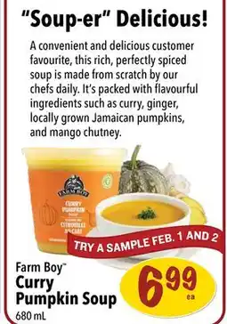 Farm Boy Farm Boy Curry Pumpkin Soup offer