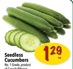 Farm Boy Seedless Cucumbers offer