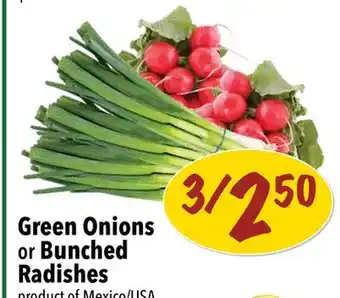 Farm Boy Green Onions or Bunched Radishes offer