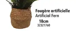 Hart Artificial Fern offer