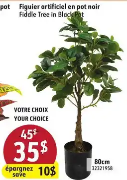 Hart Fiddle Tree in Black Pot offer