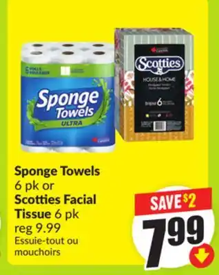 FreshCo Sponge Towels 6 pk or Scotties Facial Tissue 6 pk offer