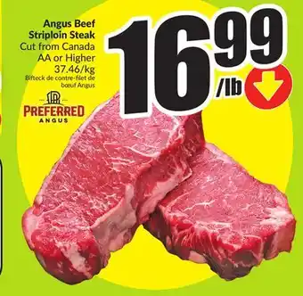 FreshCo Angus Beef Striploin Steak Cut from Canada AA or Higher offer