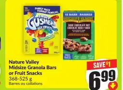 FreshCo Nature Valley Midsize Granola Bars or Fruit Snacks 368-525 g offer