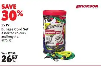 Home Hardware 25 Pc. Bungee Cord Set offer