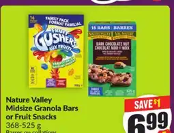 Chalo FreshCo Nature Valley Midsize Granola Bars or Fruit Snacks 368-525 g offer