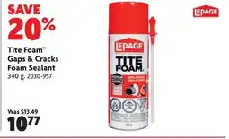 Home Hardware Lepage Tile Foam Gaps & Cracks Foam Sealant offer