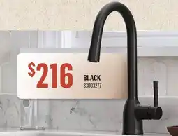 Canac Adler Pull-Out Kitchen Faucet offer