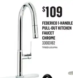 Canac Federico 1-Handle Pull-Out Kitchen Faucet offer