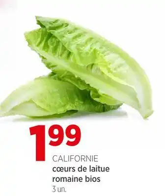 Avril coeurs de laitue romaine bios offer