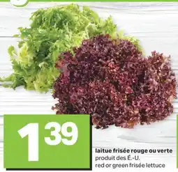 L'Intermarché laitue frisée rouge ou verte offer