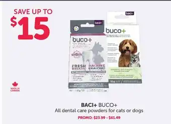 Mondou BACI+BUCO+ All dental care powders for cats or dogs offer