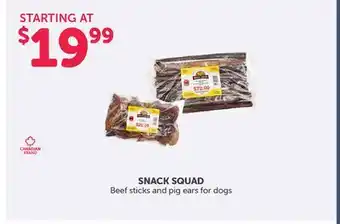 Mondou SNACK SQUAD Beef sticks and pig ears for dogs offer