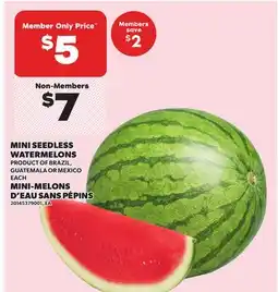 Independent Grocer MINI SEEDLESS WATERMELONS offer