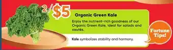 Healthy Planet Organic Green Kale offer