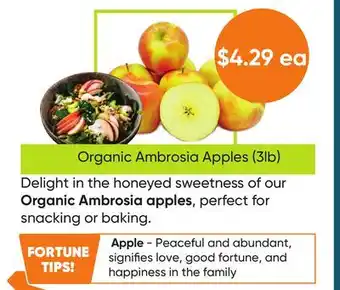 Healthy Planet Organic Ambrosia Apples (3lb) offer