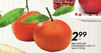 Sobeys Stem and leaf clementines offer