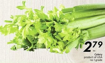Sobeys Celery offer