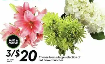 Sobeys Choose from a large selection of cur flower bunches offer