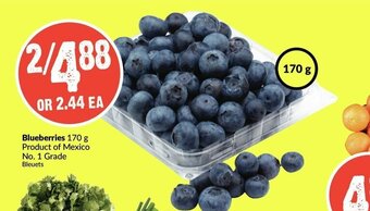 FreshCo Blueberries offer