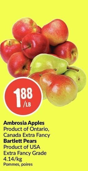 FreshCo Ambrosia apples offer
