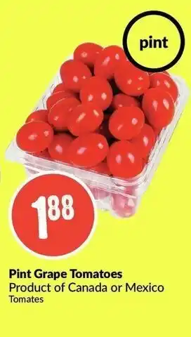 FreshCo Pint grape tomatoes offer