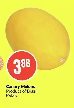 FreshCo Canary melons offer