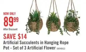 The Brick Artificial Succulents in Hanging Rope Pot - Set of 3 Artificial Flower offer