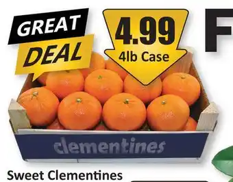 Starsky Sweet Clementines offer