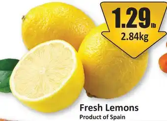 Starsky Fresh Lemons offer