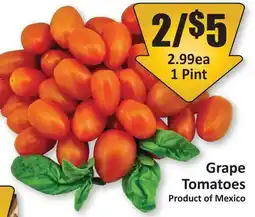 Starsky Grape Tomatoes offer