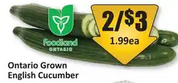 Starsky Ontario Grown English Cucumber offer