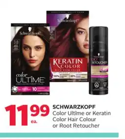 Rexall SCHWARZKOPF Color Ultîme or Keratin Color Hair Colour or Root Retoucher offer