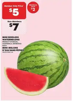 Independent City Market MINI SEEDLESS WATERMELONS, EACH offer