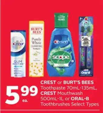 Rexall CREST or BURT'S BEES Toothpaste 70mL-135mL, CREST Mouthwash 500mL-1L or ORAL-B Toothbrushes offer