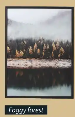 JYSK FOGGY FOREST Framed Art offer