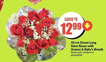 FreshCo 50 cm Dozen Long Stem Roses offer