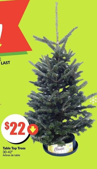 FreshCo Table Top Trees offer