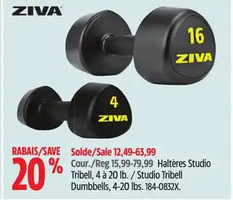 Canadian Tire Haltères Studio Tribell, 4à 20lb Ziva offer